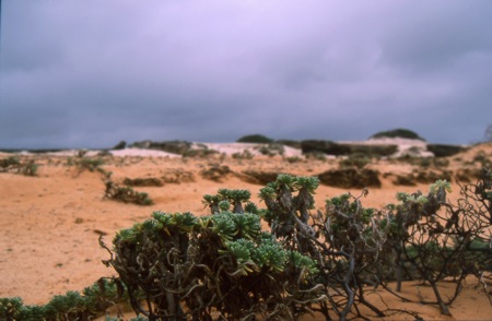 Northern Coastline