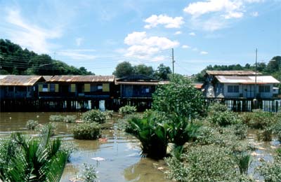 Kampung Ayer - ein Dorf im Meer