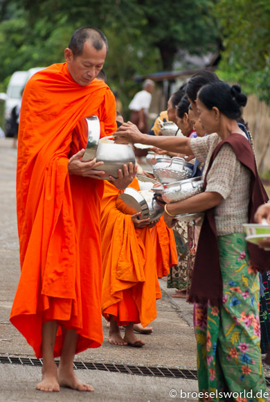 Mönche empfangen Almosen am Morgen, Thailand
